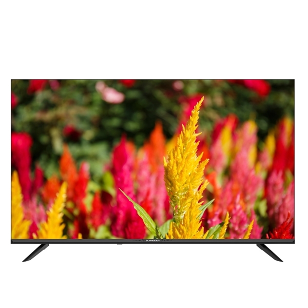 טלוויזיה חכמה SCHNEIDER SCHQ43EUH